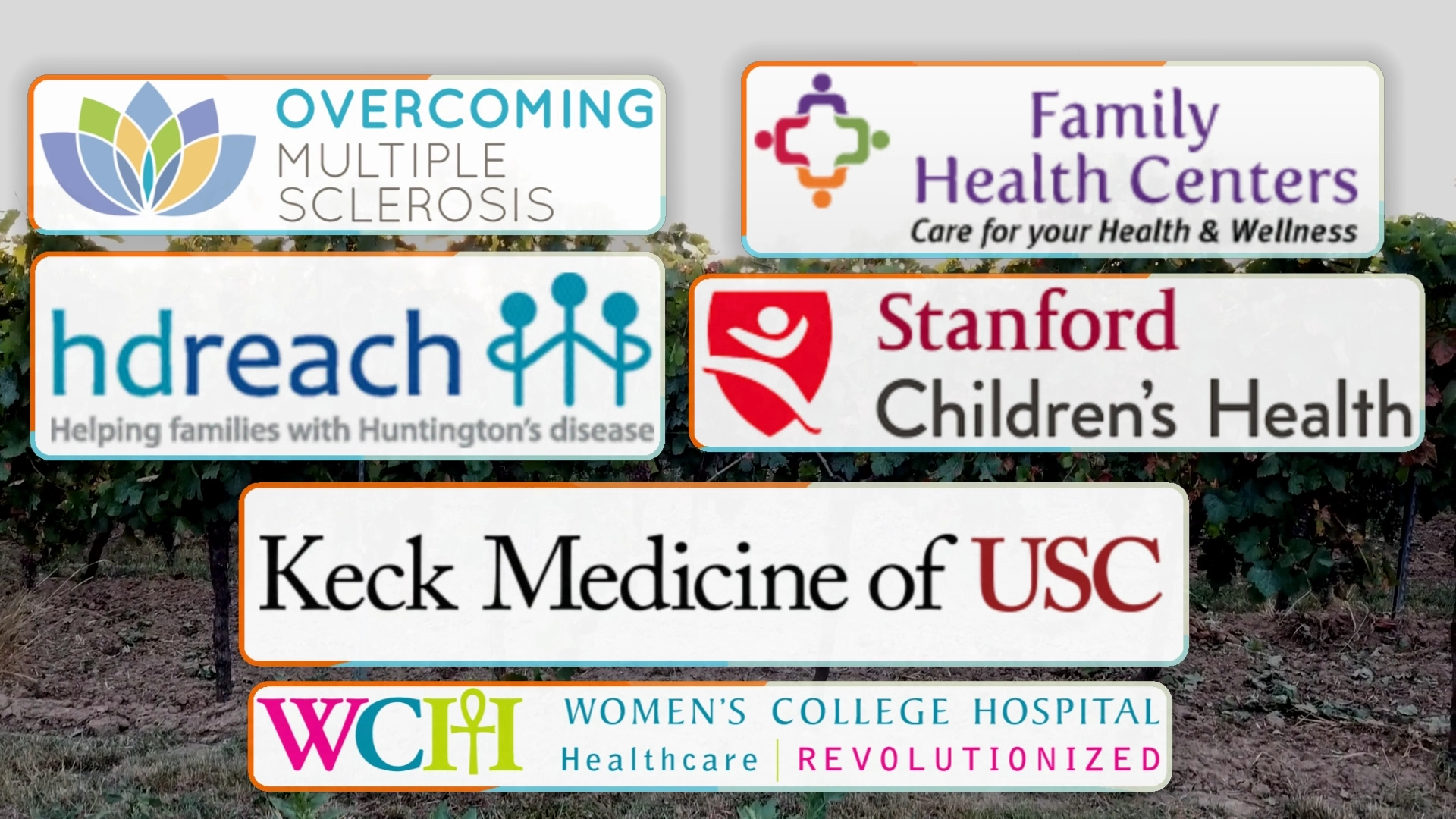 6 Hardworking Groups Dedicated To Improving Health