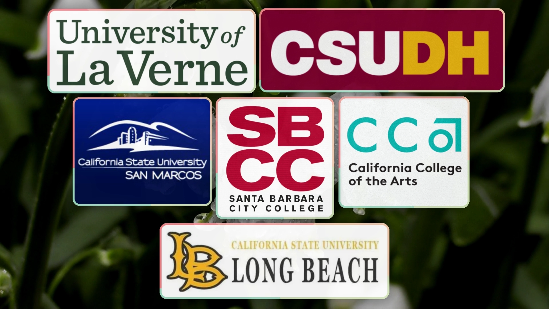 6 Respected Colleges And Universities In California