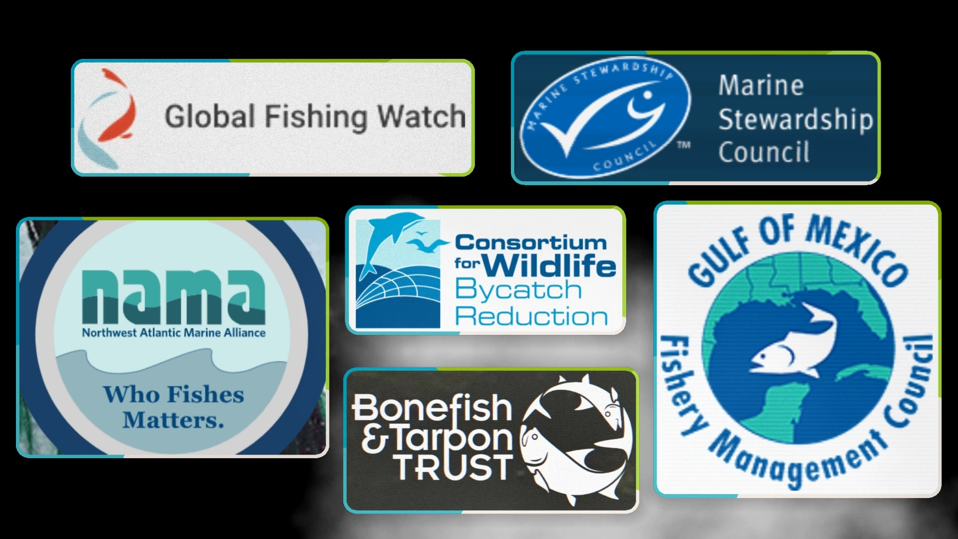 6 Hardworking Nonprofits Building Sustainable Fisheries